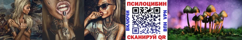 Галлюциногенные грибы Psilocybe  Мензелинск 