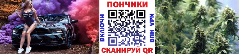Бошки Шишки планчик Мензелинск